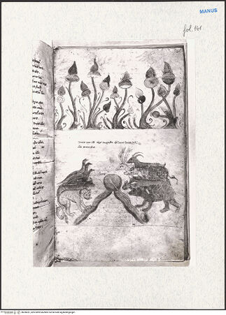 Vorderseite von bh280281_recto