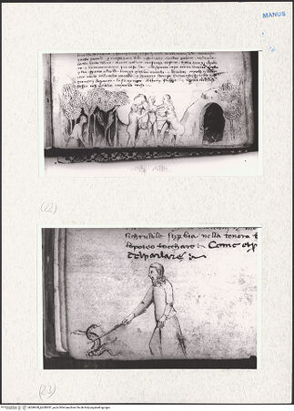 Vorderseite von bh280430_bh280431_recto