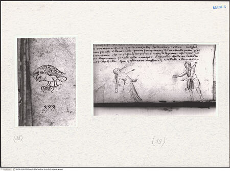 Vorderseite von bh280434_bh280435_recto