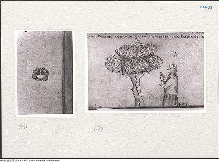 Vorderseite von bh280439_bh280440_recto