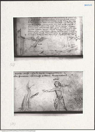 Vorderseite von bh280441_bh280442_recto