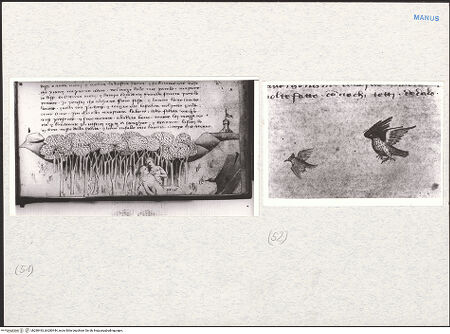 Vorderseite von bh280443_bh280444_recto