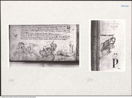 Vorderseite von bh280447_bh280448_recto