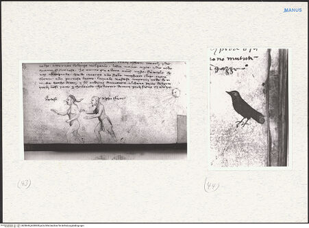 Vorderseite von bh280449_bh280450_recto