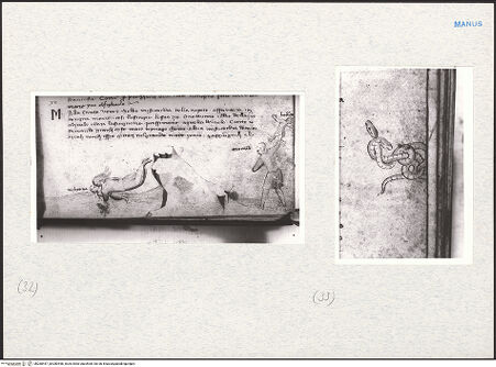 Vorderseite von bh280457_bh280458_recto