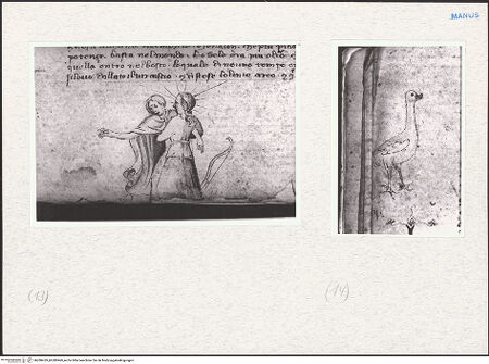 Vorderseite von bh280459_bh280460_recto