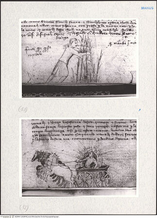 Vorderseite von bh280461_bh280462_recto