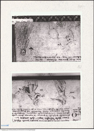 Vorderseite von bh280463_bh280464_recto