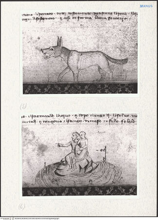 Vorderseite von bh280465_bh280466_recto