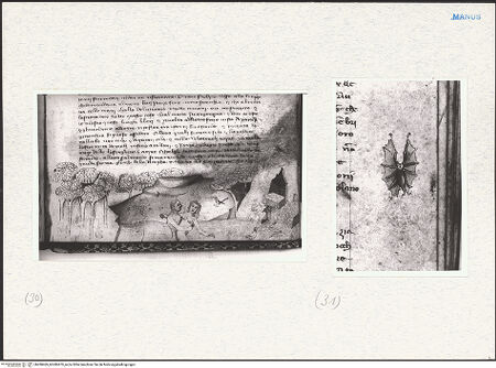 Vorderseite von bh280469_bh280470_recto