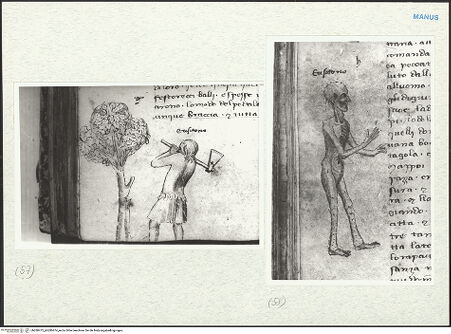 Vorderseite von bh280473_bh280474_recto