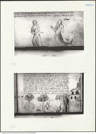 Vorderseite von bh280479_bh280480_recto