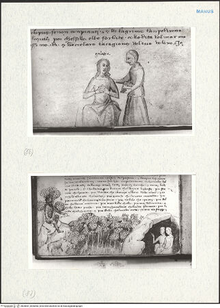 Vorderseite von bh280481_bh280482_recto