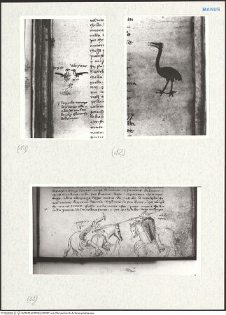 Vorderseite von bh280485_bh280486_bh280487_recto