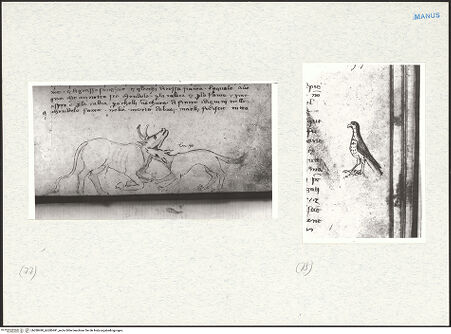 Vorderseite von bh280490_bh280491_recto