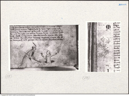 Vorderseite von bh280517_bh280518_recto