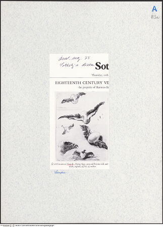 Vorderseite von bh280717_recto