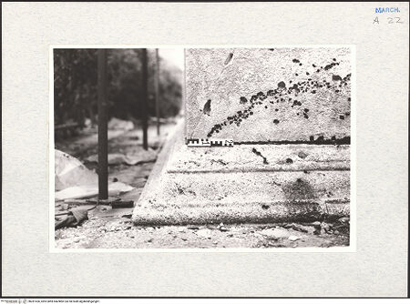 Vorderseite von bh281450_recto