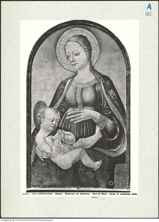 Vorderseite von bh281629_recto