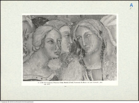 Vorderseite von bh281630_recto