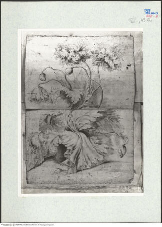 Vorderseite von bh281795_recto