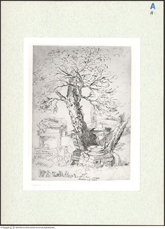 Vorderseite von bh281869_recto