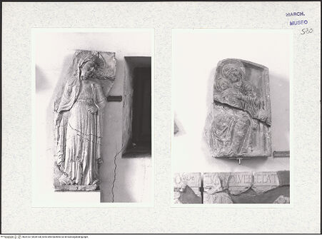 Vorderseite von bh281937_bh281938_recto