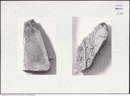 Vorderseite von bh281951_bh281952_recto