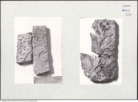 Vorderseite von bh281953_bh281954_recto