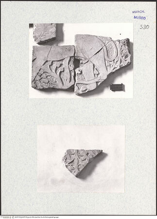 Vorderseite von bh281955_bh281956_recto