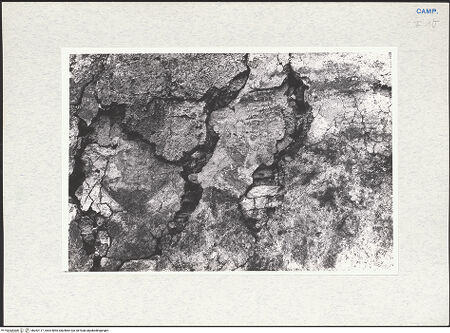 Vorderseite von Pace, Valentino [https://www.deutsche-digitale-bibliothek.de/content/lizenzen/rv-ez/] Heilige (Apostel?); Wanddekoration - Innenfassade, Detail, Heiliger, bh282117_recto. Foto: Pace, Valentino.