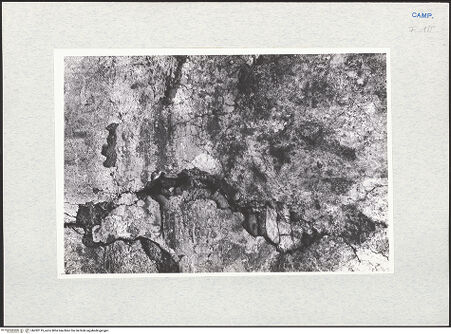 Vorderseite von Pace, Valentino [https://www.deutsche-digitale-bibliothek.de/content/lizenzen/rv-ez/] Heilige (Apostel?); Wanddekoration - Innenfassade, Detail, Heiliger, bh282119_recto. Foto: Pace, Valentino.