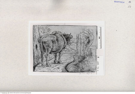 Vorderseite von  [http://creativecommons.org/publicdomain/mark/1.0/] ... - , bh282237. Foto.