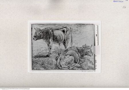 Vorderseite von  [http://creativecommons.org/publicdomain/mark/1.0/] ... - , bh282238. Foto.