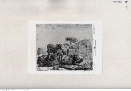 Vorderseite von  [http://creativecommons.org/publicdomain/mark/1.0/] , bh282239. Foto.