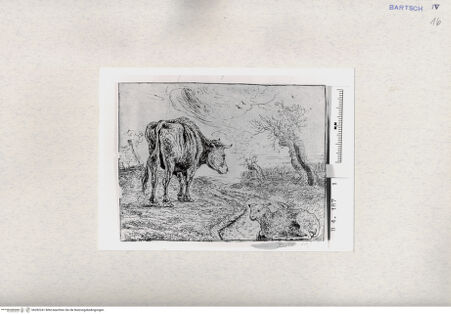 Vorderseite von  [http://creativecommons.org/publicdomain/mark/1.0/] ... - , bh282241. Foto.