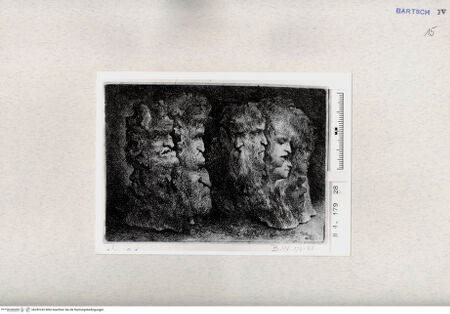 Vorderseite von  [http://creativecommons.org/publicdomain/mark/1.0/] ... - , bh282243. Foto.