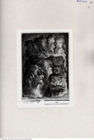 Vorderseite von  [http://creativecommons.org/publicdomain/mark/1.0/] ... - , bh282244. Foto.