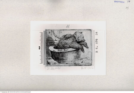 Vorderseite von  [http://creativecommons.org/publicdomain/mark/1.0/] ... - , bh282245. Foto.