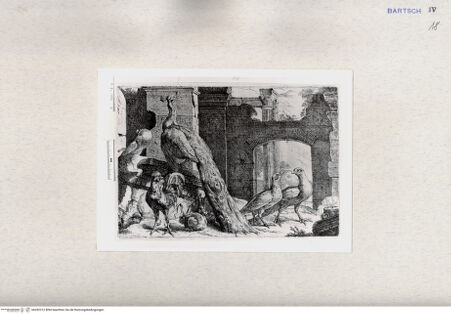 Vorderseite von  [http://creativecommons.org/publicdomain/mark/1.0/] ... - , bh282312. Foto.