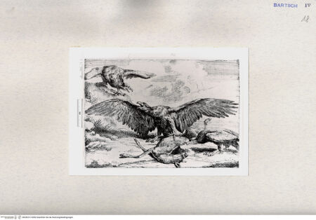 Vorderseite von  [http://creativecommons.org/publicdomain/mark/1.0/] ... - , bh282313. Foto.