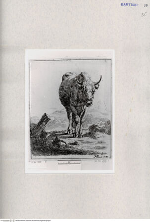 Vorderseite von  [http://creativecommons.org/publicdomain/mark/1.0/] , bh282334. Foto.