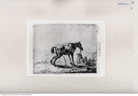 Vorderseite von  [http://creativecommons.org/publicdomain/mark/1.0/] ... - , bh282388. Foto.