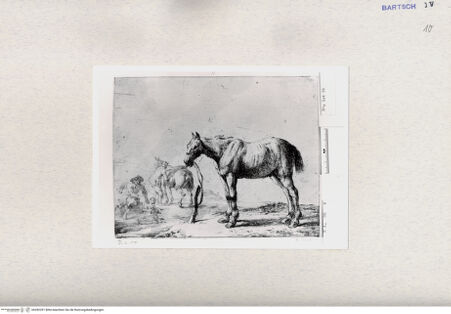 Vorderseite von  [http://creativecommons.org/publicdomain/mark/1.0/] ... - , bh282391. Foto.