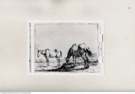 Vorderseite von  [http://creativecommons.org/publicdomain/mark/1.0/] ... - , bh282392. Foto.