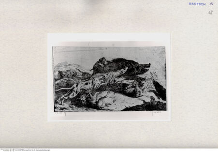 Vorderseite von  [http://creativecommons.org/publicdomain/mark/1.0/] ... - , bh282397. Foto.