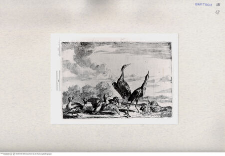 Vorderseite von  [http://creativecommons.org/publicdomain/mark/1.0/] ... - , bh282398. Foto.