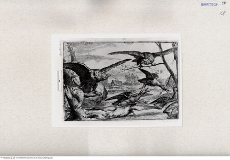 Vorderseite von  [http://creativecommons.org/publicdomain/mark/1.0/] ... - , bh282399. Foto.