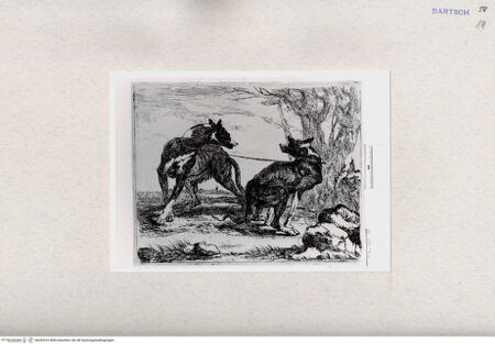 Vorderseite von  [http://creativecommons.org/publicdomain/mark/1.0/] , bh282416. Foto.