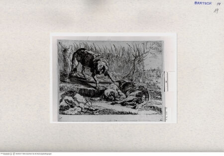 Vorderseite von  [http://creativecommons.org/publicdomain/mark/1.0/] , bh282417. Foto.